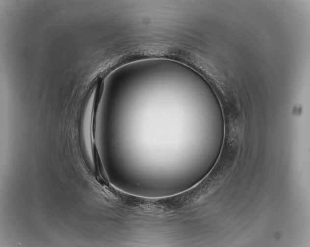 X0000097640681200803071553