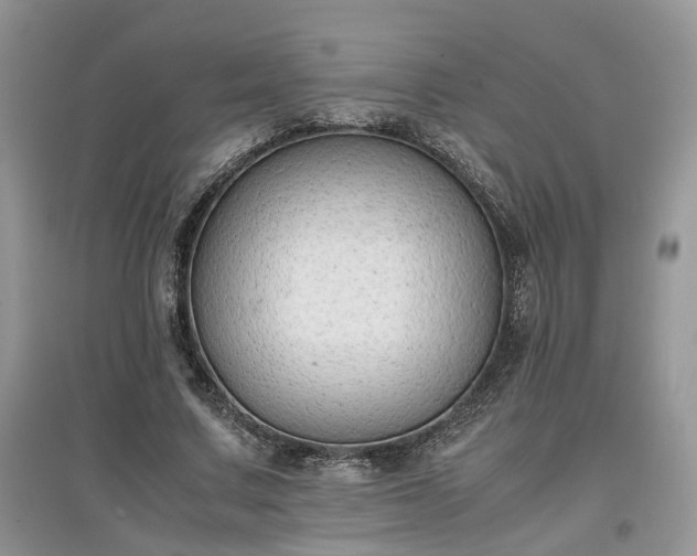 X0000097640683200803071553