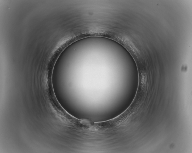 X0000097640684200803071553