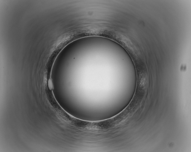 X0000097640685200803071553