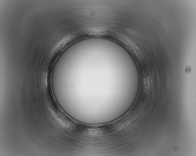 X0000097640686200803071553