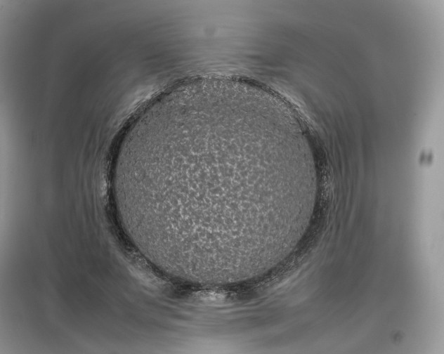 X0000097640687200803071553