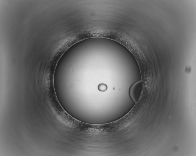 X0000097640690200803071553