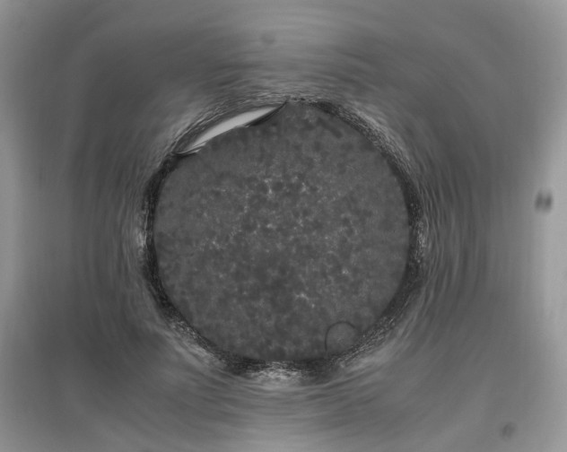 X0000097640691200803071553