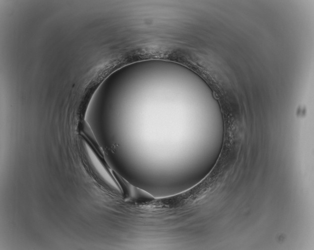 X0000097640693200803071553