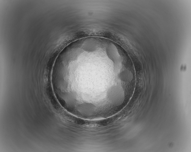 X0000097640695200803071553