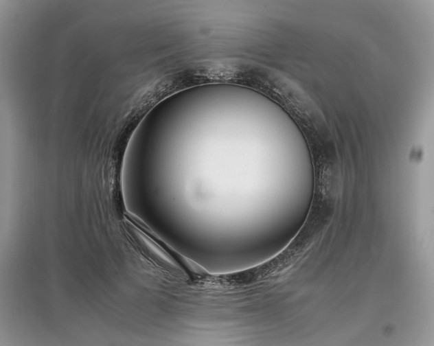 X0000097640697200803071553