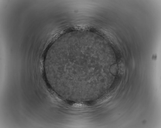 X0000097640699200803071553