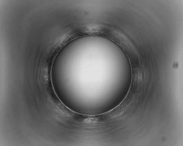 X0000097640700200803071553