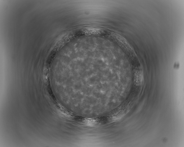 X0000097640701200803071553