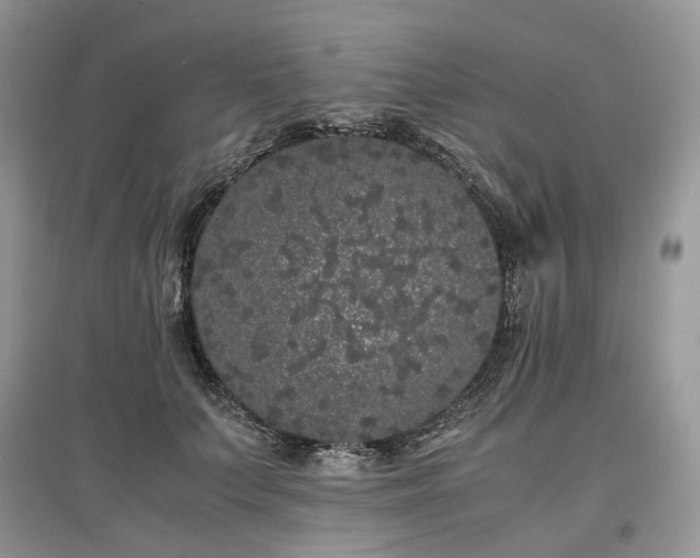 X0000097640703200803071553