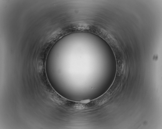 X0000097640704200803071553