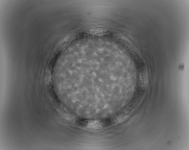 X0000097640705200803071553