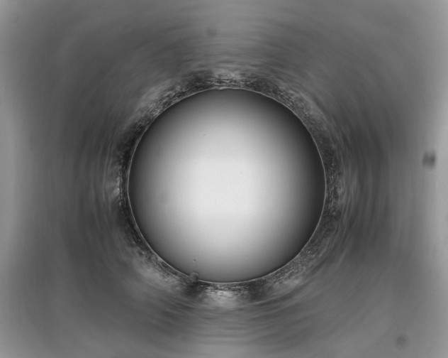 X0000097640706200803071553