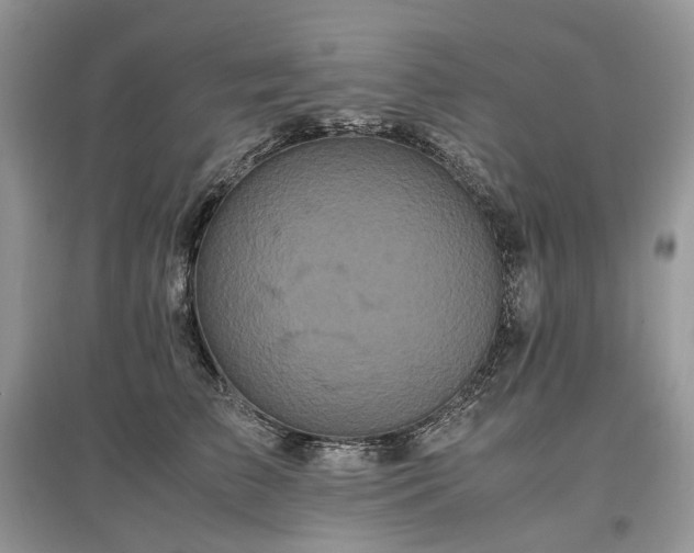 X0000097640709200803071553