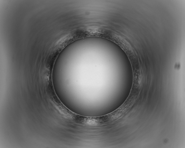 X0000097640710200803071553