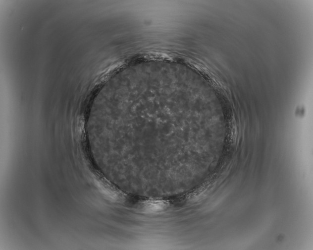 X0000097640711200803071553