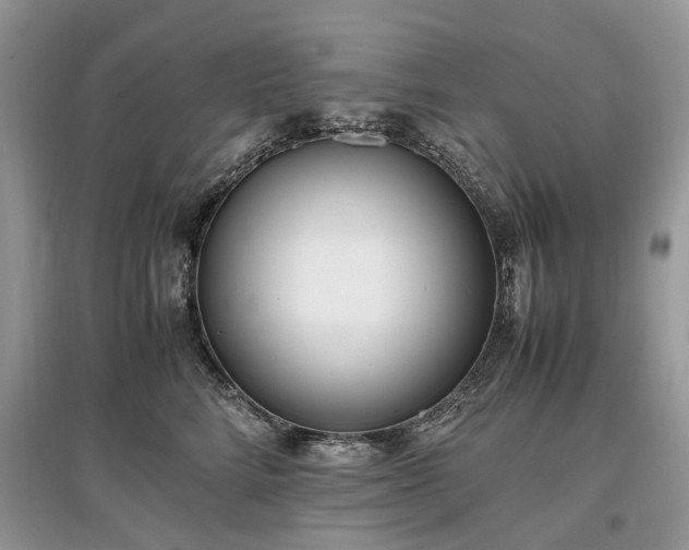 X0000097640712200803071553