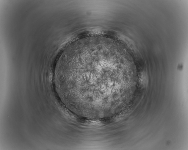 X0000097640715200803071553