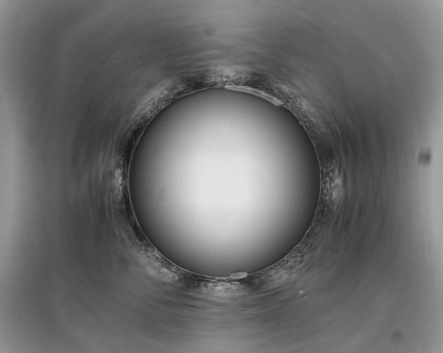 X0000097640716200803071553