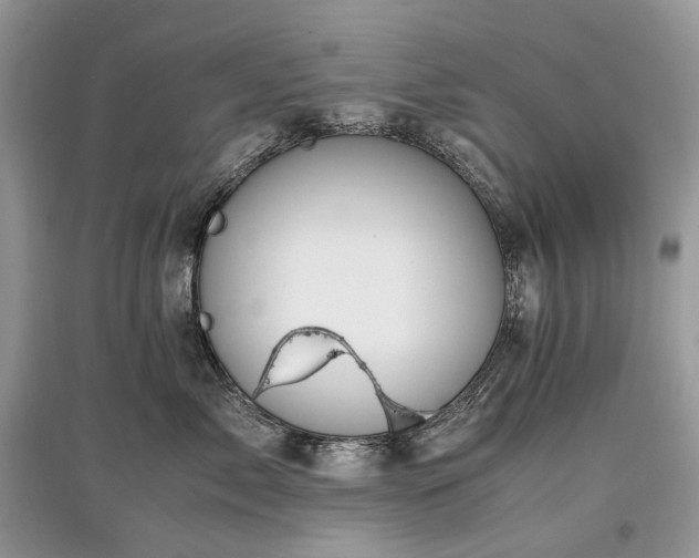 X0000097640717200803071553