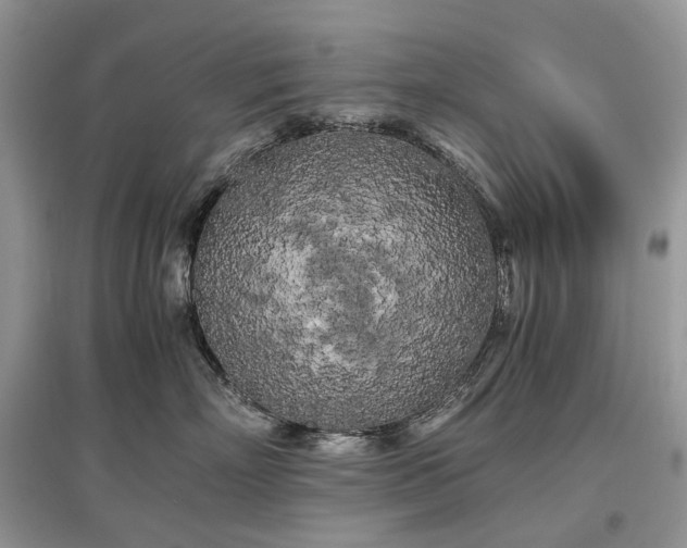 X0000097640718200803071553