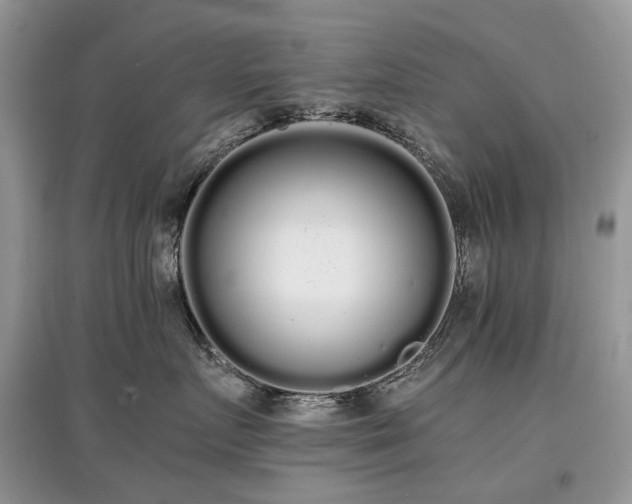 X0000097640719200803071553