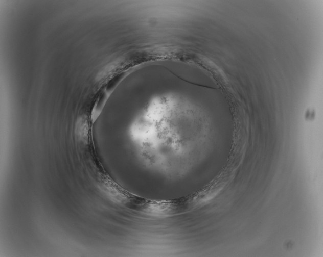 X0000097640720200803071553