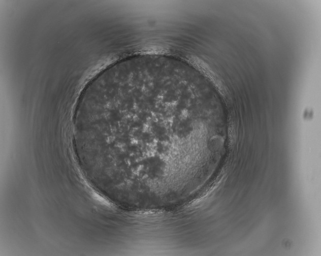 X0000097640721200803071552