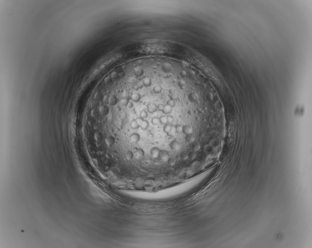 X0000097640722200803071552