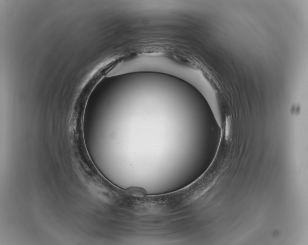 X0000097640723200803071552