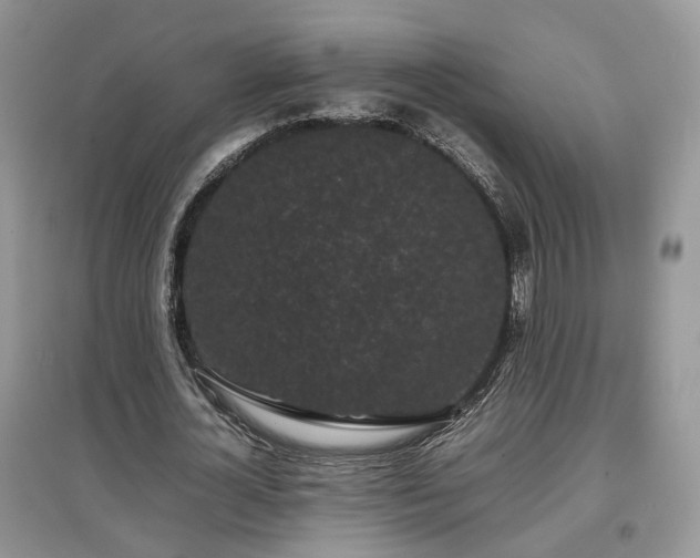 X0000097640724200803071552