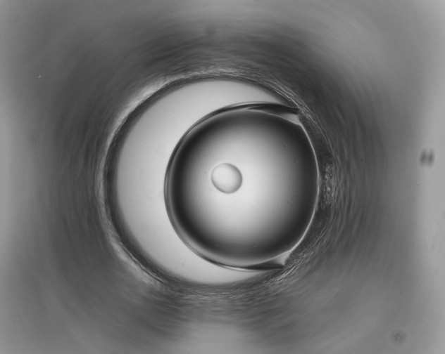 X0000097640726200803071552