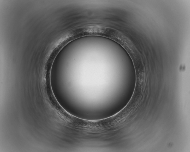 X0000097640727200803071552