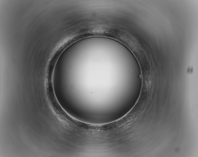 X0000097640728200803071552