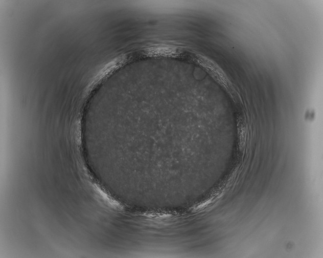 X0000097640729200803071552