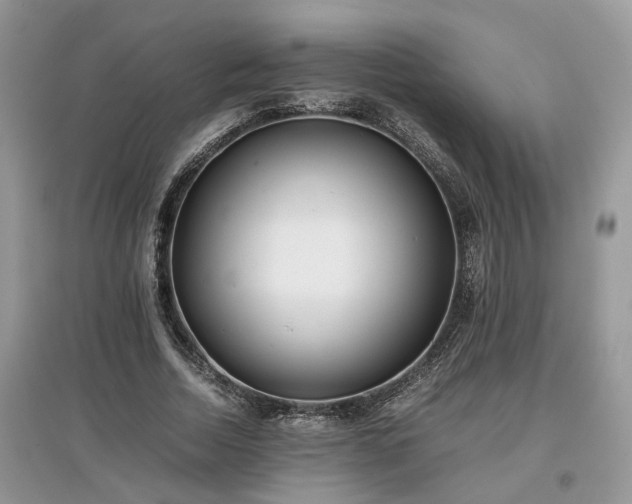 X0000097640730200803071552