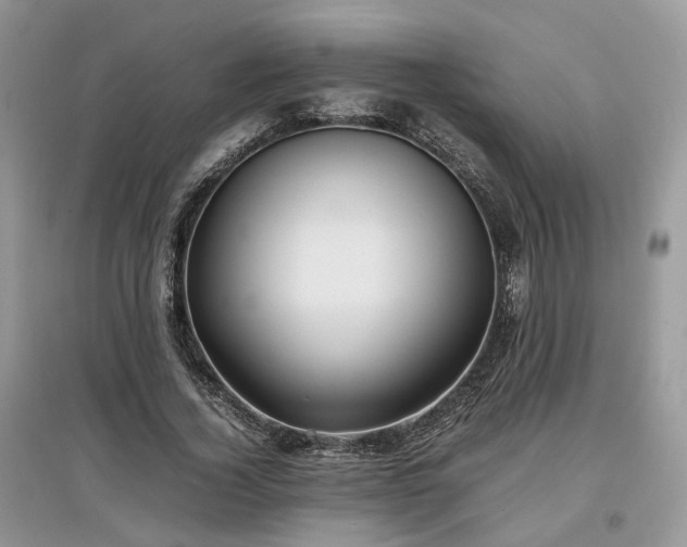 X0000097640732200803071552