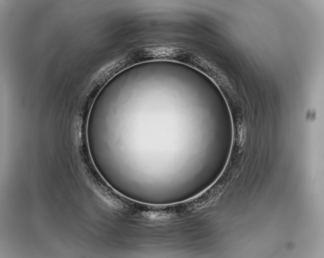 X0000097640733200803071552