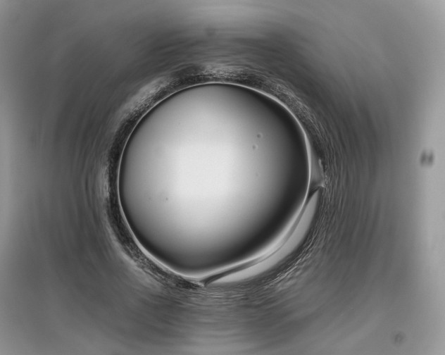 X0000097640734200803071552