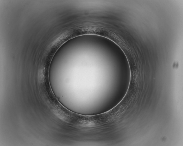 X0000097640735200803071552