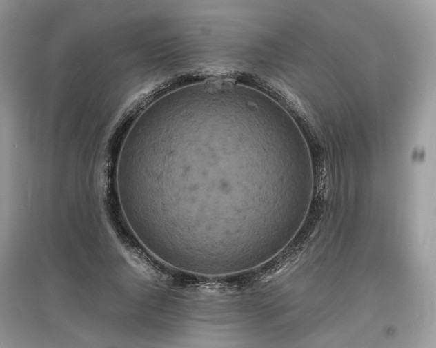 X0000097640736200803071552