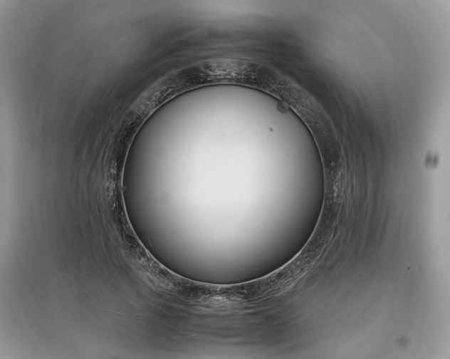 X0000097640737200803071552