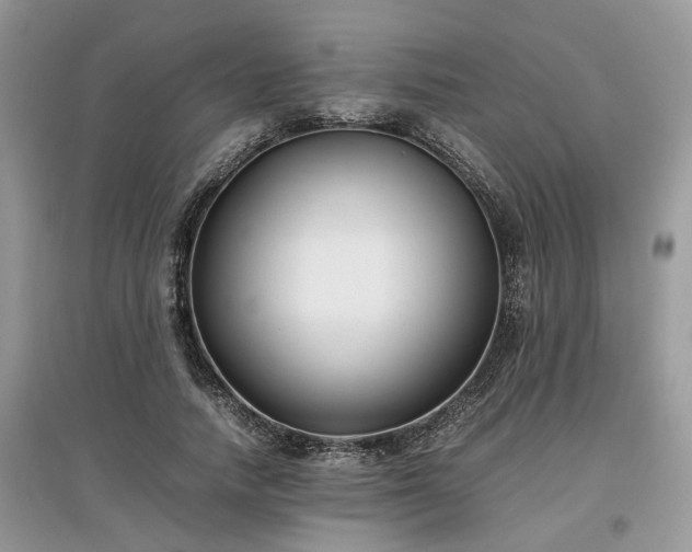 X0000097640738200803071552