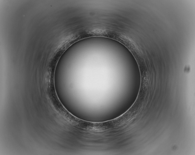 X0000097640739200803071552