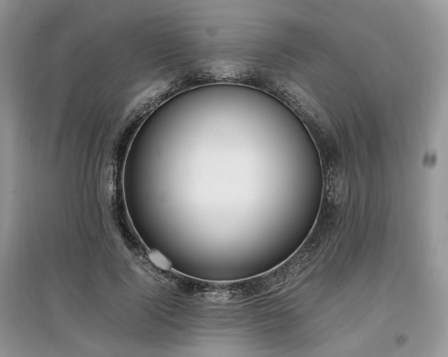 X0000097640740200803071552