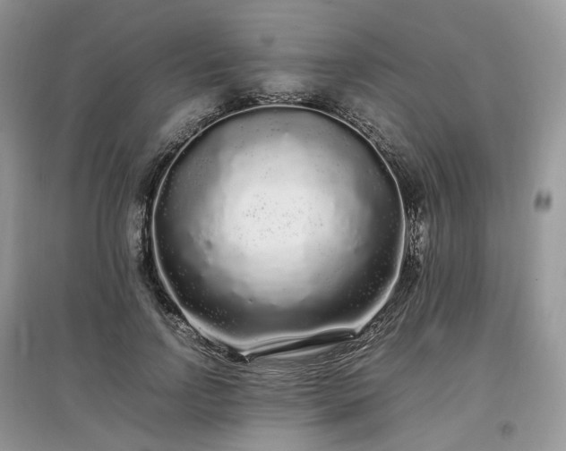 X0000097640742200803071552