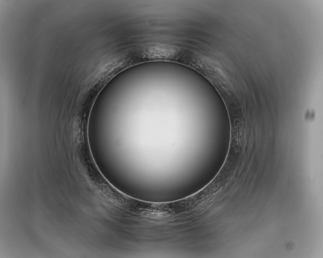 X0000097640743200803071552