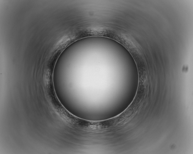 X0000097640744200803071552