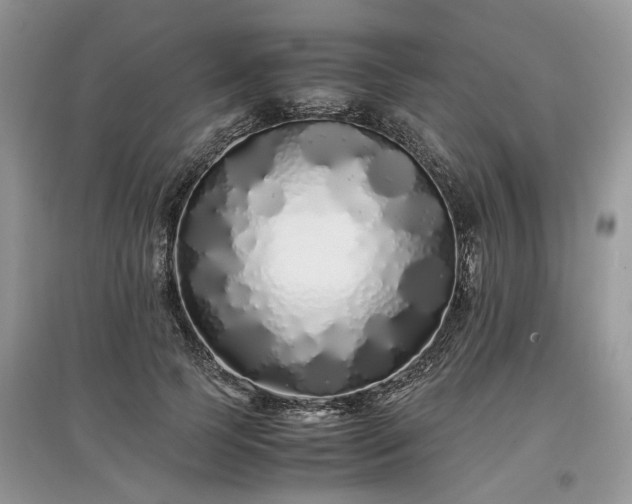 X0000097640745200803071553